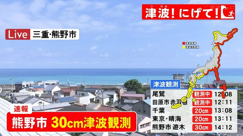 【津波警報】三重・熊野市で30cmの津波を観測 四日市市や愛知・半田市でも 愛知県外海・三重県南部に津波警報｜FNNプライムオンライン