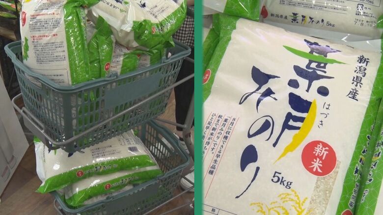 極早生品種・葉月みのりの販売開始！去年に比べ１２００円値上がりも直売所には行列が【新潟・柏崎市】｜FNNプライムオンライン