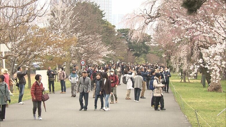 4年前の「皇居の通り抜き」の様子（2019年3月）
