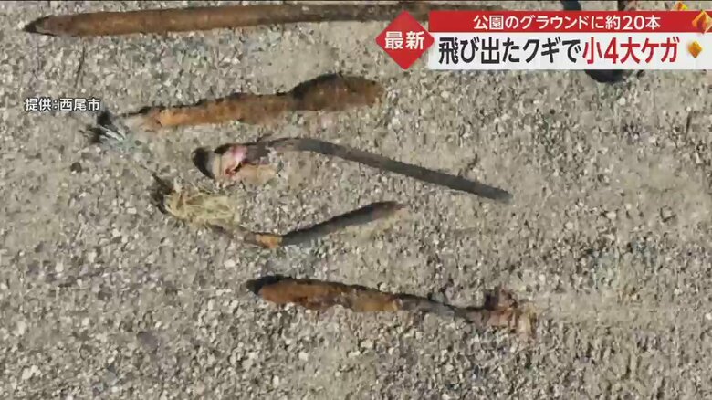 見つかったクギ（西尾市提供）