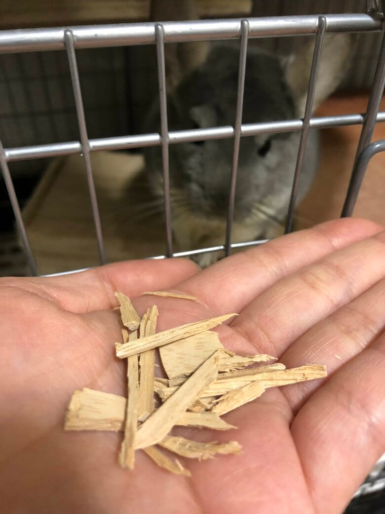 粉々にかじられたワッシャー