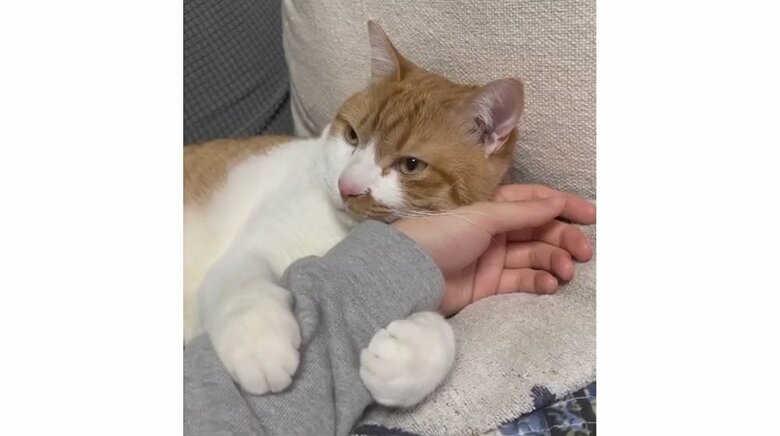 とっても甘えん坊だというオフくん