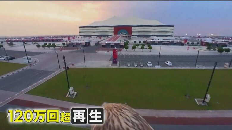 ハヤブサになって観光名所を空から眺めているような気分を味わえる、カタール観光局が公開した動画