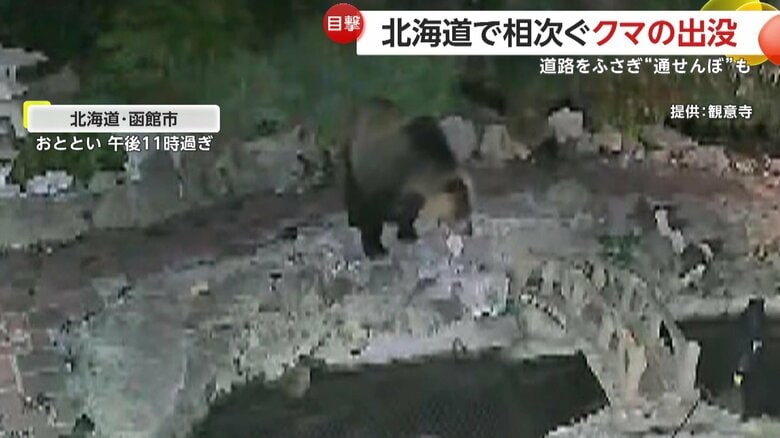 池が気になるのか、のぞき込むような様子も