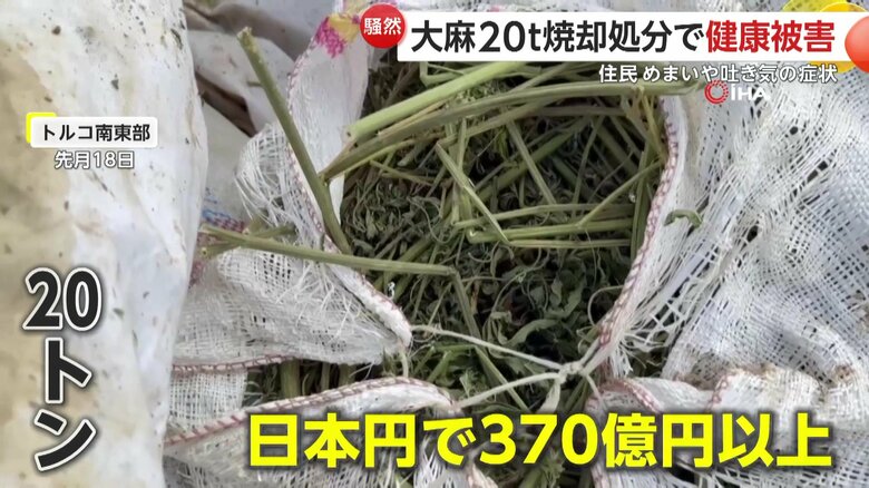 総額は日本円で370億円以上に相当する焼却処分が行われた大麻