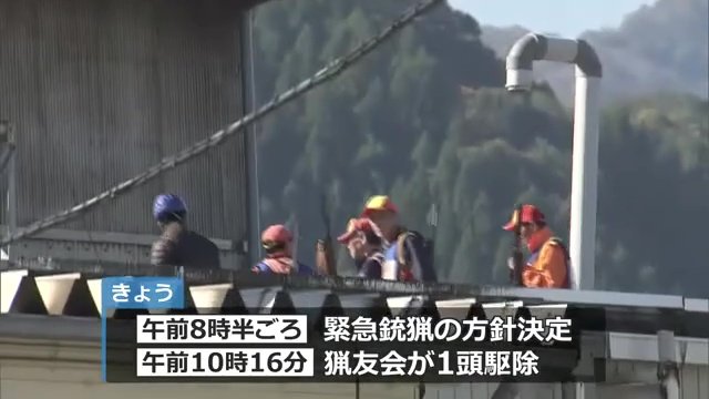 緊急銃猟を実施