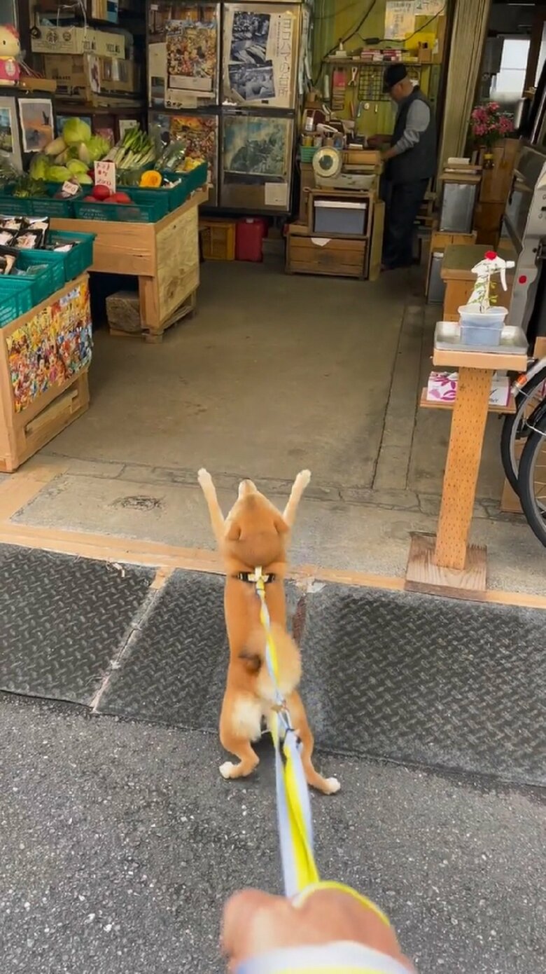 こっちを見て！