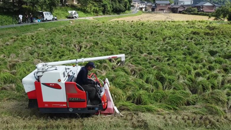 コンバインの操縦も