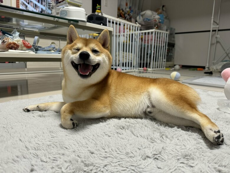 提供：わさび一族さん