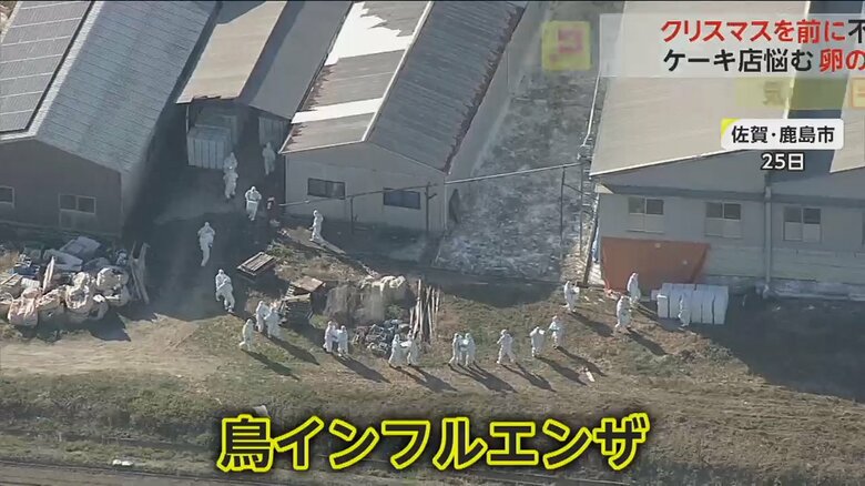 25日、佐賀県鹿嶋市で今シーズン初の鳥インフルエンザが確認された