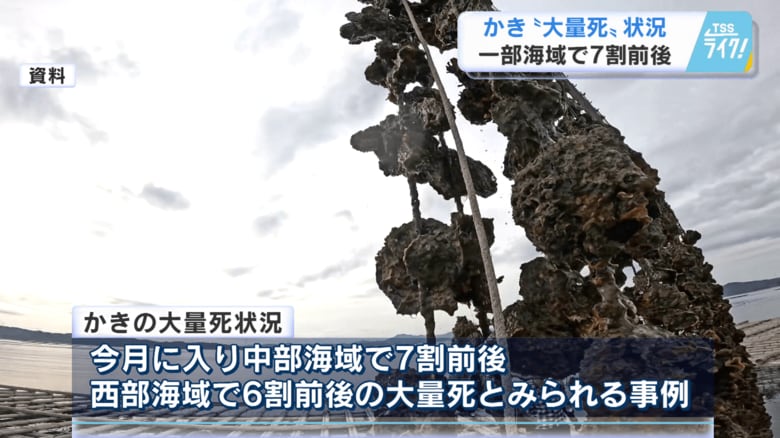 農林水産委員会 カキの大量死の状況について報告