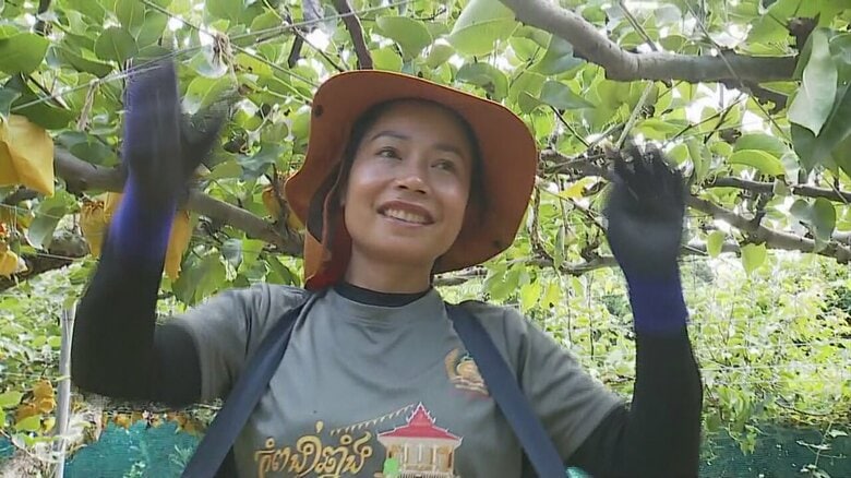 特定技能外国人のスレイトッチさん