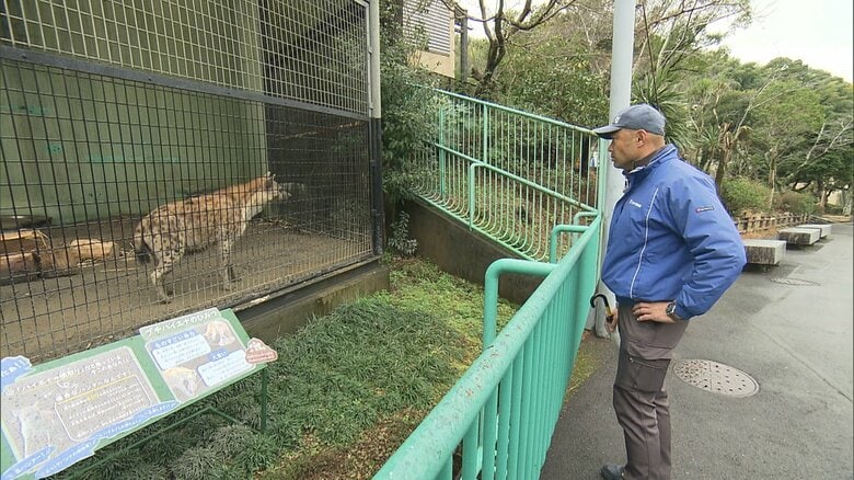 日本平動物園 獣医師・岡村創さん