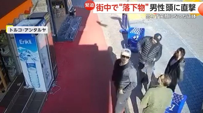 男性の頭にネコが落ちてきた瞬間