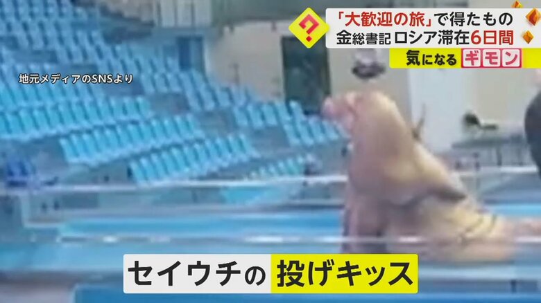 セイウチが金正恩総書記に投げキッス