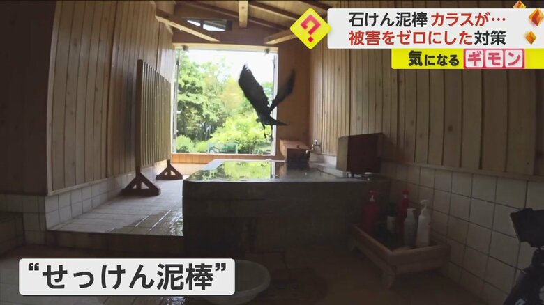 カラスがくちばしで石けんをくわえ、飛び去っていく瞬間⑦