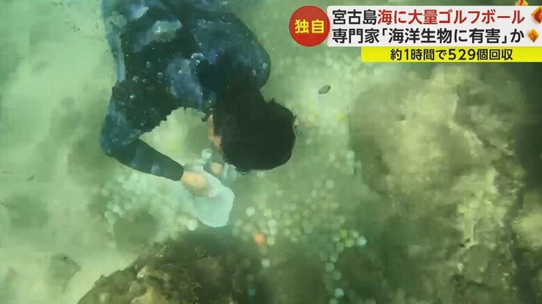 宮古島の海を守るため、ゴルフボールの回収を行った男性たち