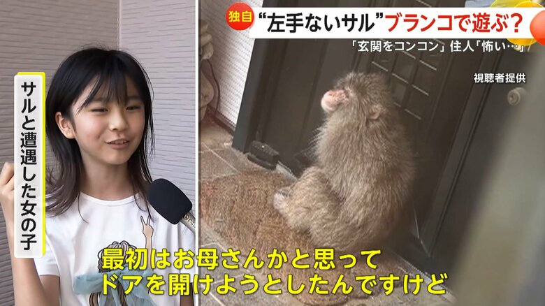「最初はお母さんかと思ってドアを開けようとしたんですけど」と話すサルと遭遇した女の子