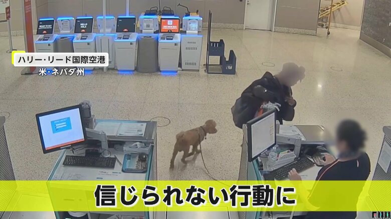 空港中を騒がせる信じられない行動に出た飼い主の女（アメリカ・ネバダ州）