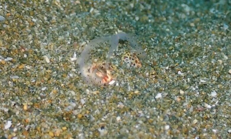 上部分も忘れずに