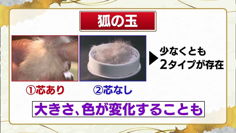 少なくとも2タイプ！？