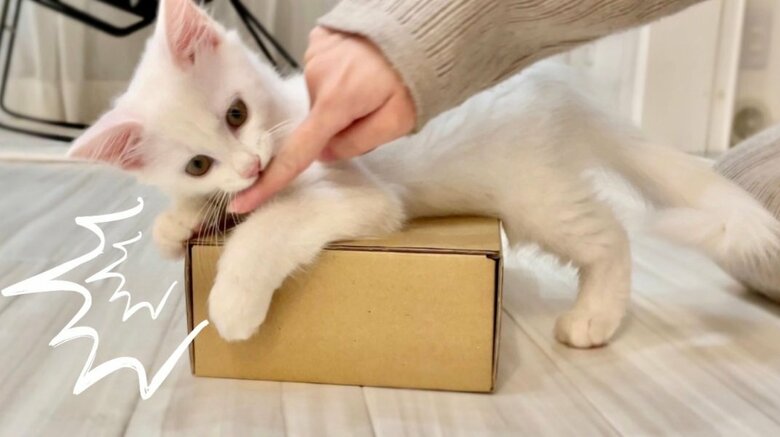 飼い主さんの指をパクッ