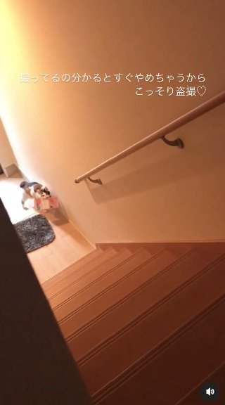 提供：kiyokoさん