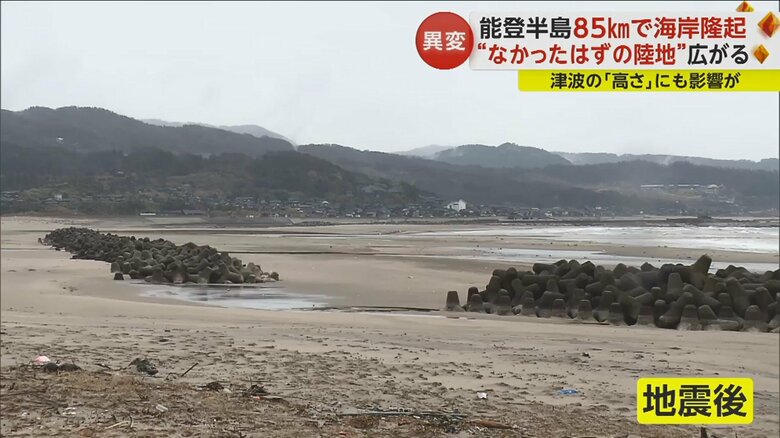 地震後には隆起しているのが一目でわかる