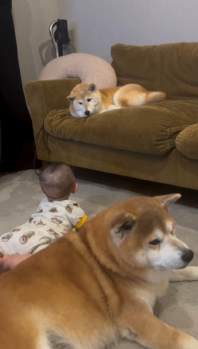 娘さんのことを少し警戒していたという