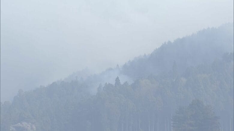 白煙が立ち上る山林（4月25日・大槌町）