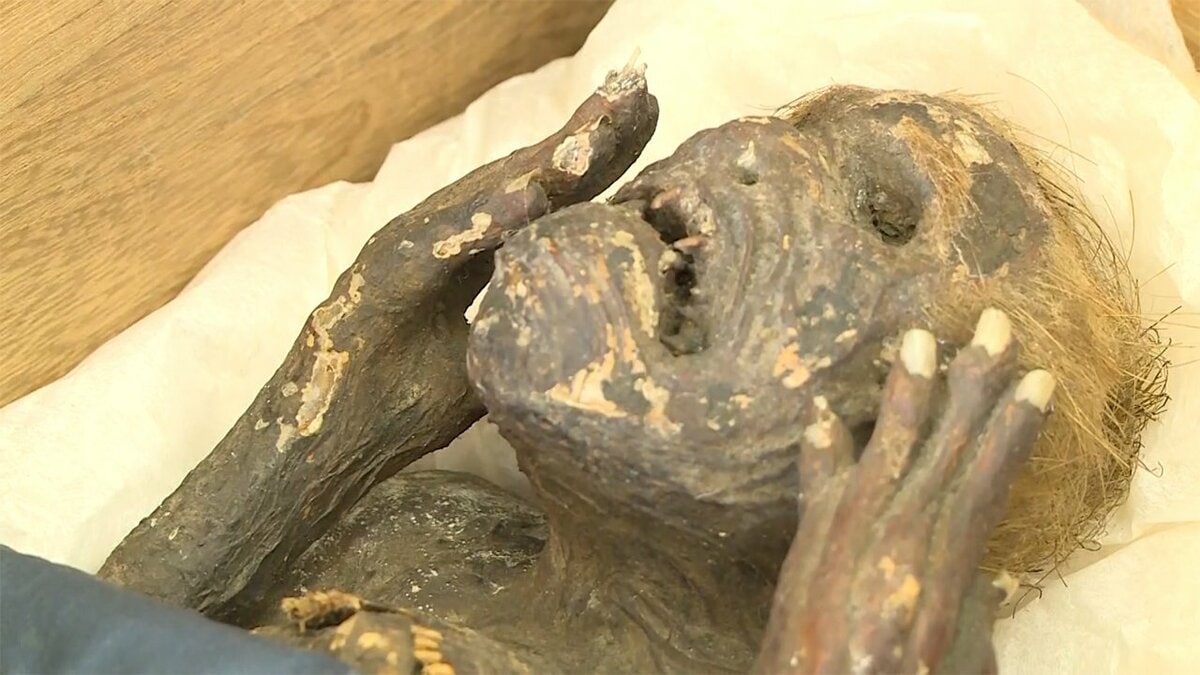 人魚のミイラ」は妖怪ではなく造形物 最新技術で分析…研究チーム発表