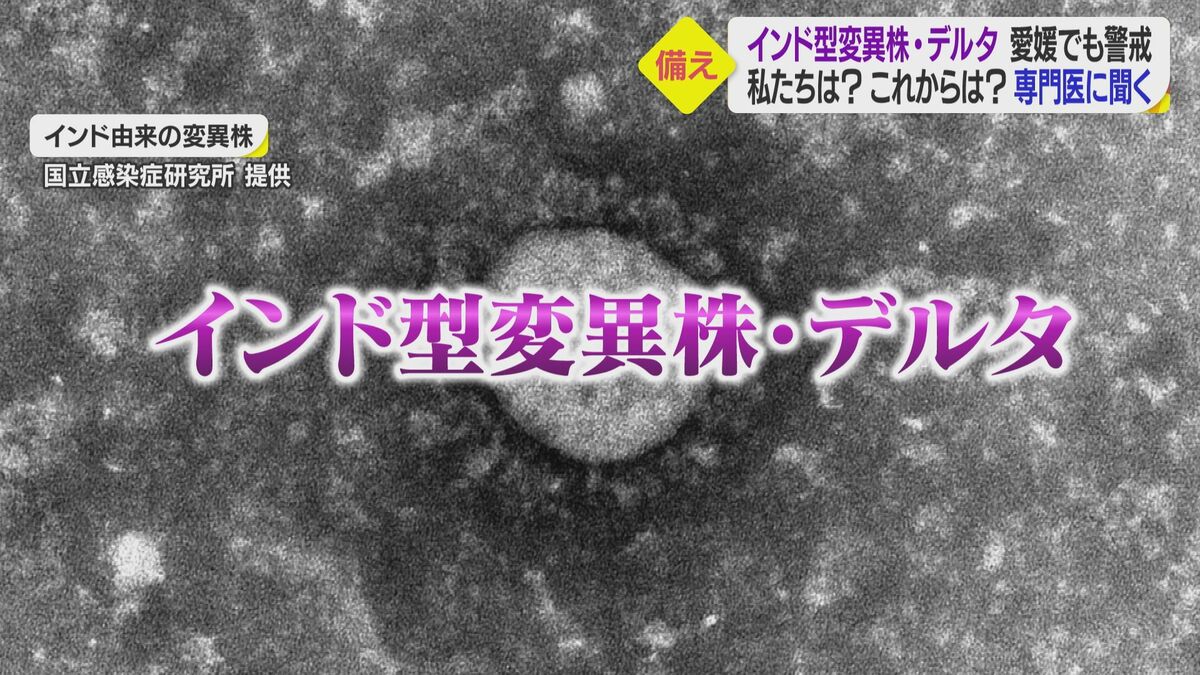 インド型変異株 デルタへの警戒続く ワクチン接種推進と共に これまで通りの感染対策を
