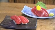 「クマと一緒」豊漁のマグロが漁師たちの悩みに　国際会議で漁獲枠拡大ならず　網にかかったマグロを放流　イカやトビウオの漁獲量激減