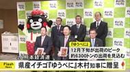 ＪＡ熊本経済連が県産イチゴ『ゆうべに』を木村知事に贈呈