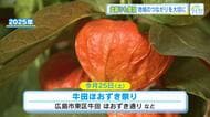【おでかけ情報】広島市「牛田ほおずき祭り」山口・宇部市「花火大会ドローンショー」7月25日（土）開催