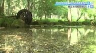 継体天皇も訪れた名水　人々の暮らしを1500年支えた「桃源清水」　福井豪雨で被害受けるも住民らの手で復興