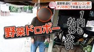 悪質ウソも!?夏野菜ドロボー“仰天”手口【しらべてみたら】