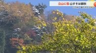 錦秋の称名滝(標高1,080m)紅葉が見ごろ 雪とのコントラスト楽しもうと観光客続々