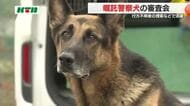 研ぎ澄まされた嗅覚を捜査の最前線で…警察犬の適正確認する審査会 指導手も2年に一度の緊張の舞台へ