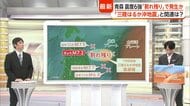 【解説】青森震度6強　1994年地震の「割れ残り」領域で相次ぐ地震　まだ“東側”に多く残る可能性　専門家「引き続き注意を」