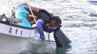 アワビ漁解禁 約160隻の船が漁 大船渡市の浜 活気づく <岩手県>