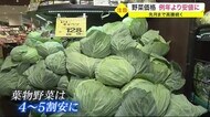 9月まで高騰していたが…野菜価格 例年より安値に 葉物野菜は4割から5割ほど安く〈宮城〉