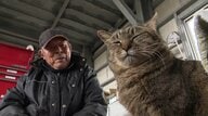 ニャンと給与アップも提案！？ 元野良猫の「トラ」が特命係長に就任！高知の土木建設会社を包む温かい絆