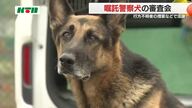 研ぎ澄まされた嗅覚を捜査の最前線で…警察犬の適正確認する審査会 指導手も2年に一度の緊張の舞台へ