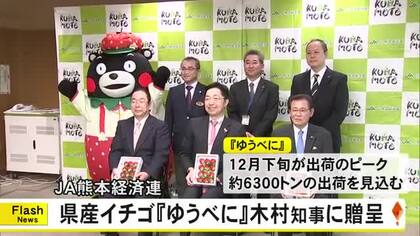 ＪＡ熊本経済連が県産イチゴ『ゆうべに』を木村知事に贈呈