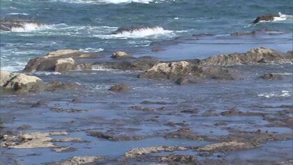 江の島で親子溺れ40代母親死亡…男の子は心肺停止　岩場近くの海で　神奈川・藤沢市