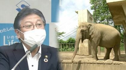 動物園からゾウがいなくなる？市長は“輸入”公約も…難航の裏にタイ総選挙【静岡発】