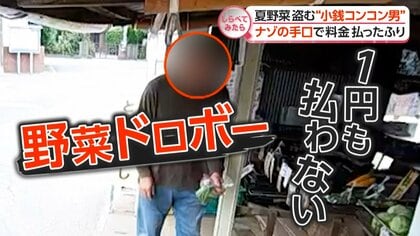 悪質ウソも!?夏野菜ドロボー“仰天”手口【しらべてみたら】