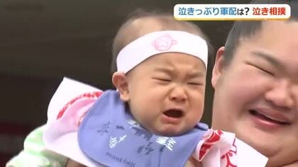 しっかり泣いて健やかな成長を　恒例「泣き相撲」に318人の赤ちゃん　かわいい反応に来場者笑顔　福井・護国神社