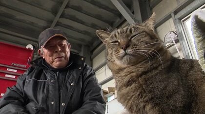 ニャンと給与アップも提案！？ 元野良猫の「トラ」が特命係長に就任！高知の土木建設会社を包む温かい絆